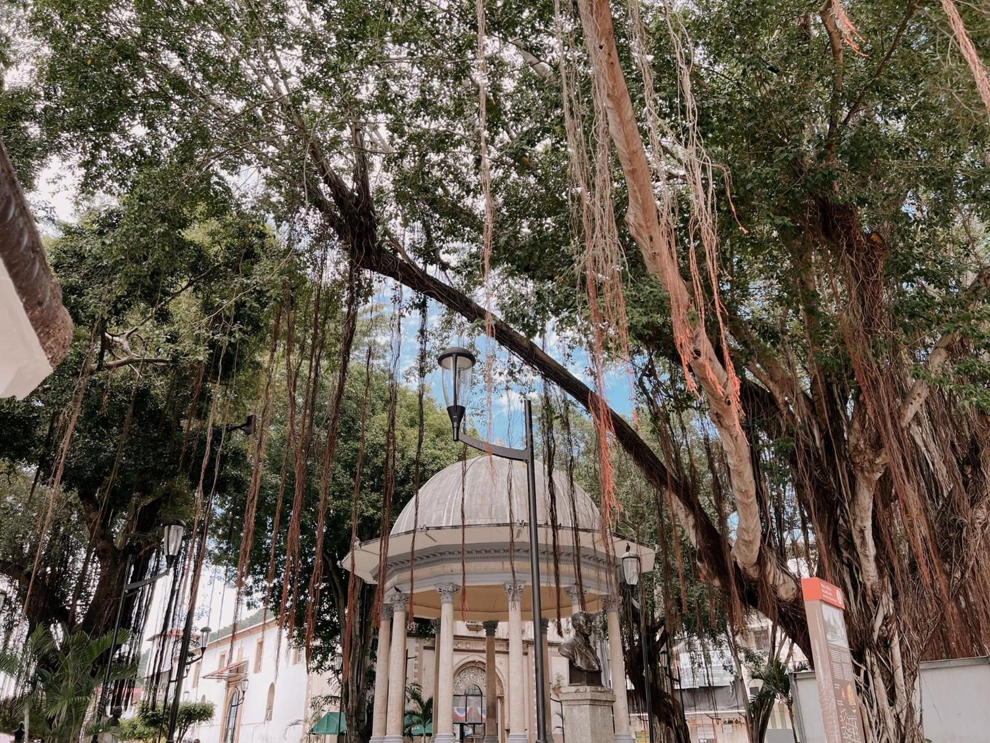 Maison Boheme - La Manzana Panama Экстерьер фото